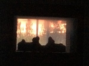 No filter!  Raw and real!